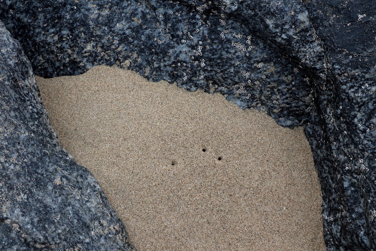 Three Tiny Holes in a Zen Garden